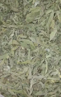 پونه کوهی تمیز