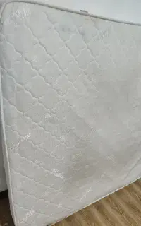 تشک بالنو