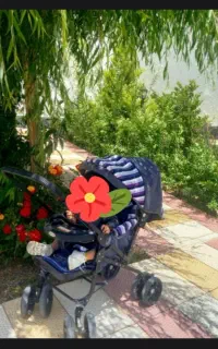 کالسکه چرخش۳۶۰ درجه