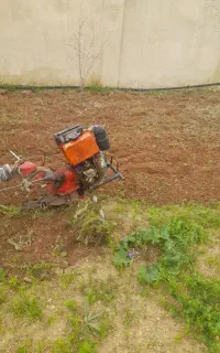 خدمات باغبانی.پاکنی.علفزنی.هرس.کوددهی