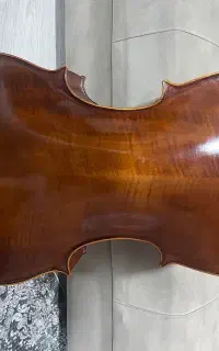 ویلونسل