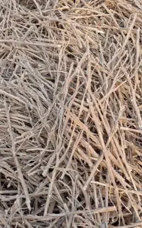 چوب قلیون بقمچ