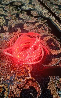 چراغ ریسه شلنگی