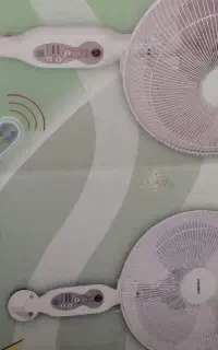 پنکه سانی