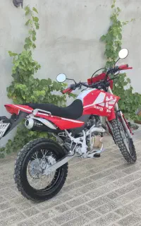 تریل 249کویر t2