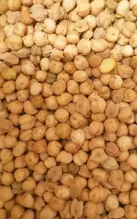 نخودآبگوشتی کوهین