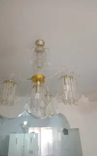 لوستر دوجفت