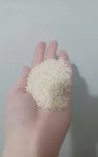 فروش برنج طارم درجه یک اعلا