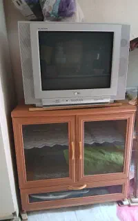 تلوزیون