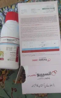 قاتل تریپس پیاز