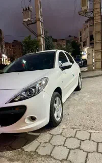 ۲۰۷ مدل ۹۶ بیرنگ شاسی پلمپ
