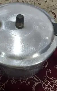 زودپز استیل نو