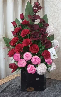 حراج باکس گل نو
