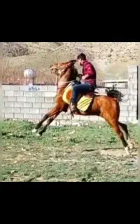 مادیون فروش فوری