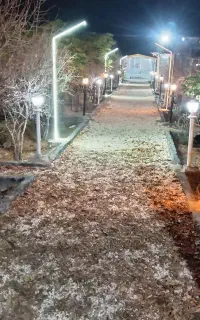 کافه دونار پدیده بکر با VIP ابارش