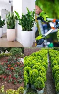 خدمات باغبانی گلکاری باغچه کاری در گلدون و باغچه