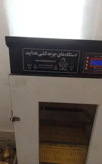 دستگاه جوجه کشی هدایت 210تایی