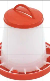 فروش ظرف غذا مرغ