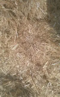 کاه گندم آبی
