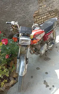هندا۸۱