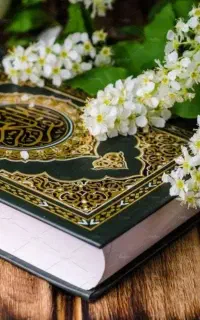 کتاب، زیارات،قرآن،صلوات،ادعیه برای اموات