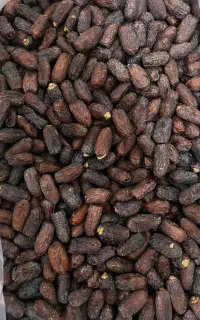 خرما پیارم