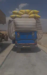 کاه گندم دیم