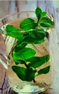 عرق نعنا دو آتیشه