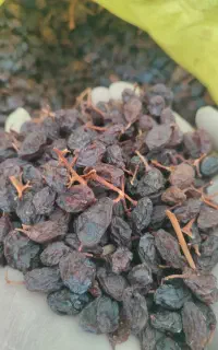 مویز . کشمش