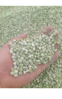 بذر نخود فرنگی پفکی