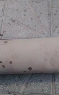 اگزوز