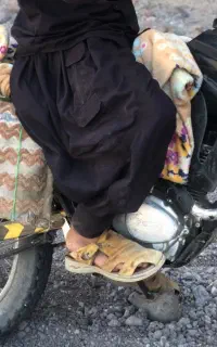 ترل پیشرو
