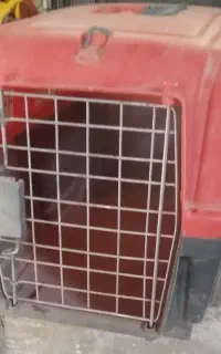 باکس حیوان خانگی چندروز استفاده شده