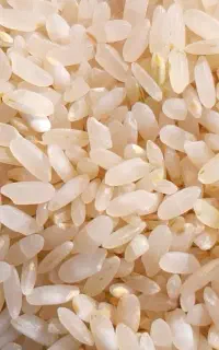 برنح لنجان اعلا (نوگرونی)