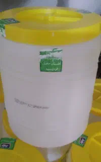 ظرف ماست