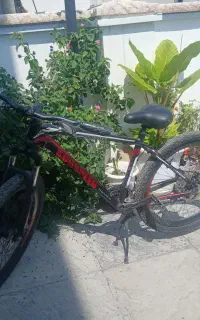 دوچرخه