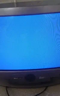 تلوزیون
