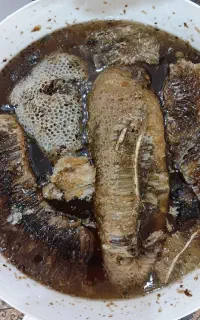 عسل کوهی درمانی