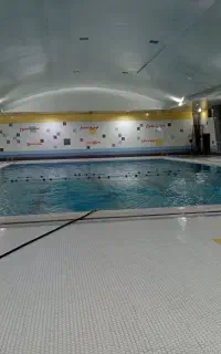 نیازمند. به دوخانم. کفشدار و وسط کار