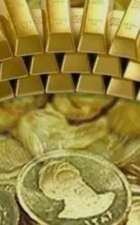 پذیرش سرمایه گزار