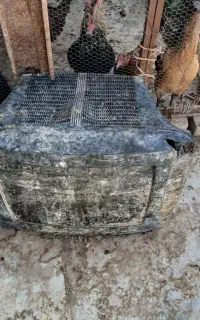 تلویزیون سوخته