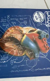 کتاب تستی و تشریحی زیست شناسی دهم