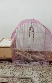 قفس پرنده نو