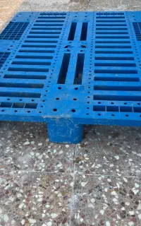 پالت