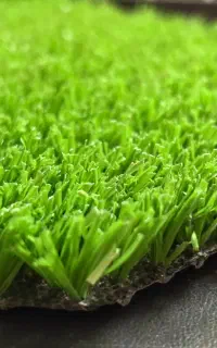 چمن تراس و باغ و کافه و ...
