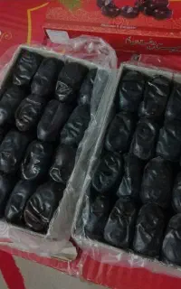 خرما