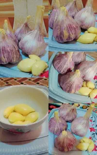 سیر  محلی درجه یک