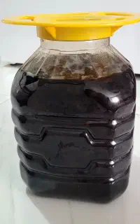 ترشی سیر