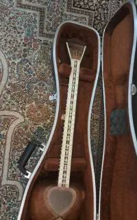 تار سرپنجه طاووسی