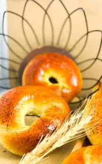 آموزش دوره نان های حجیم و نیمه حجیم